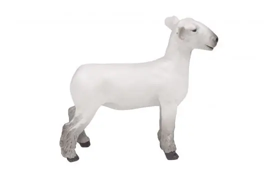 1/16 Scale Champion Dorset Market Lamb Collectible Figure