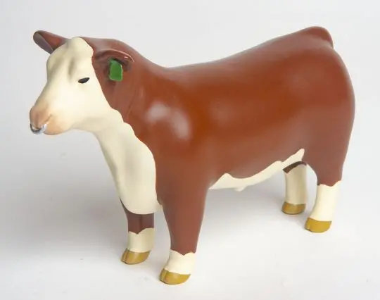 1:16 Hereford Show Bull Figure – Nose Ring Detail, Farm Animal Model