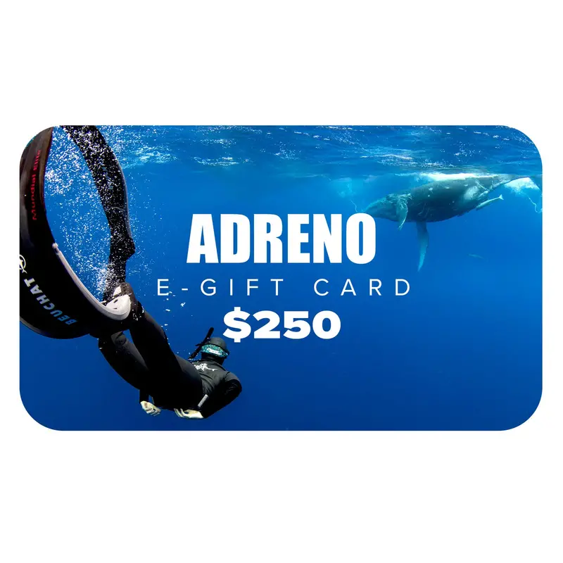 $250 Electronic Gift Card – Instant Delivery