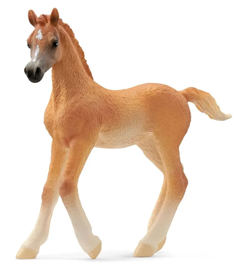 Arabian Foal Miniature Model #13984S