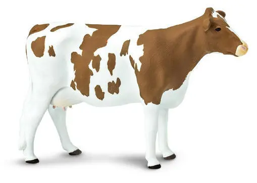 Ayrshire Cow Figurine – Realistic Farm Animal Model #162129