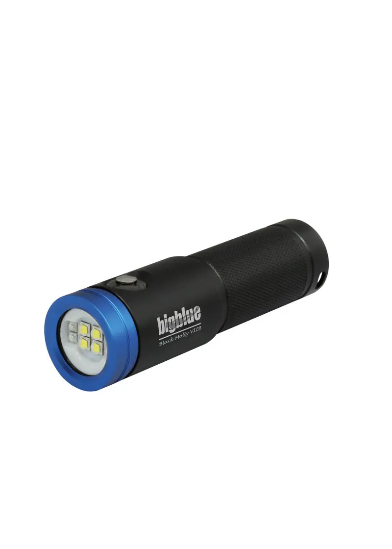 BigBlue AL2900XWPB Dive Torch – Extra-Wide Beam Push-Button Design