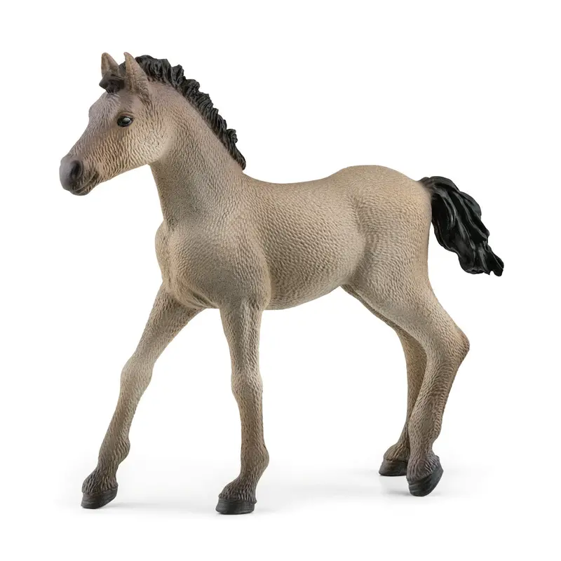 Criollo Foal Figure – Authentic South American Horse Breed Model