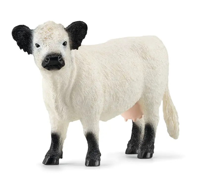 Galloway Cow Farm Animal Model #13960S