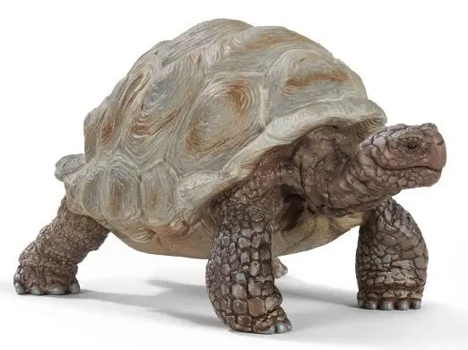 Giant Tortoise Figurine – Large-Scale Reptile Animal Sculpture