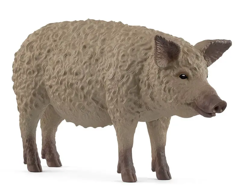 Mangalica Pig – Curly-Coated 1:20 Scale Heritage Breed Model