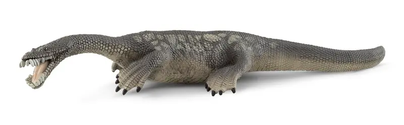Nothosaurus Prehistoric Marine Reptile Figure – Scientific Dinosaur Replica