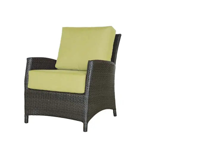 Palm Harbor Accent Club Chair