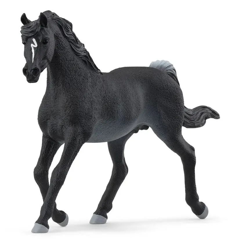 Rabicano Arabian Stallion Sculpture #13981