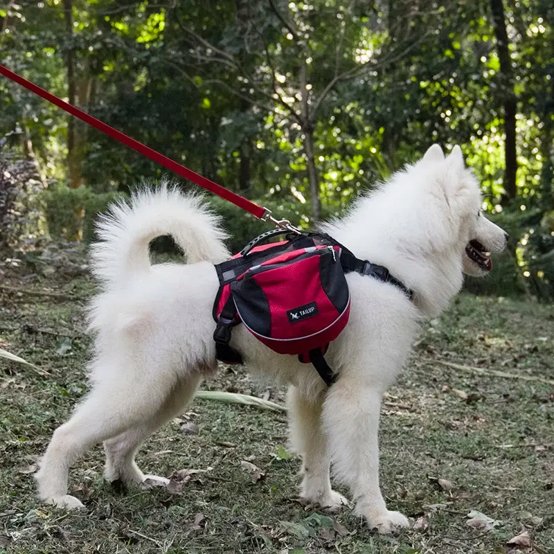 Reflective Adjustable Dog Harness Backpack – Hiking & Camping Companion Gear