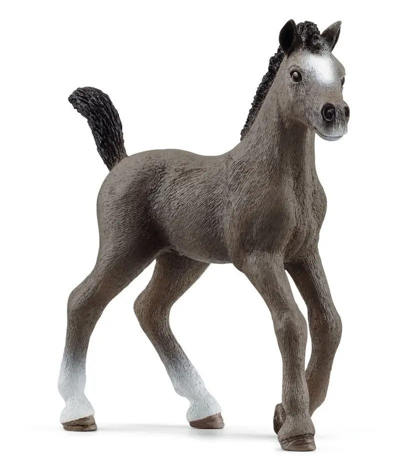 Selle Français Foal Equine Collectible #13957S