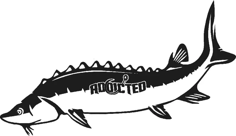 Sturgeon Decal – Matte Black Vinyl Sticker