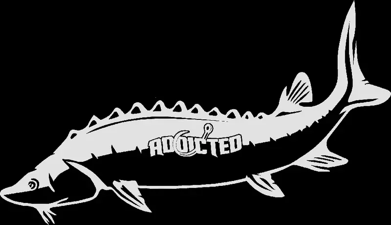 Sturgeon Fishing Decal – White