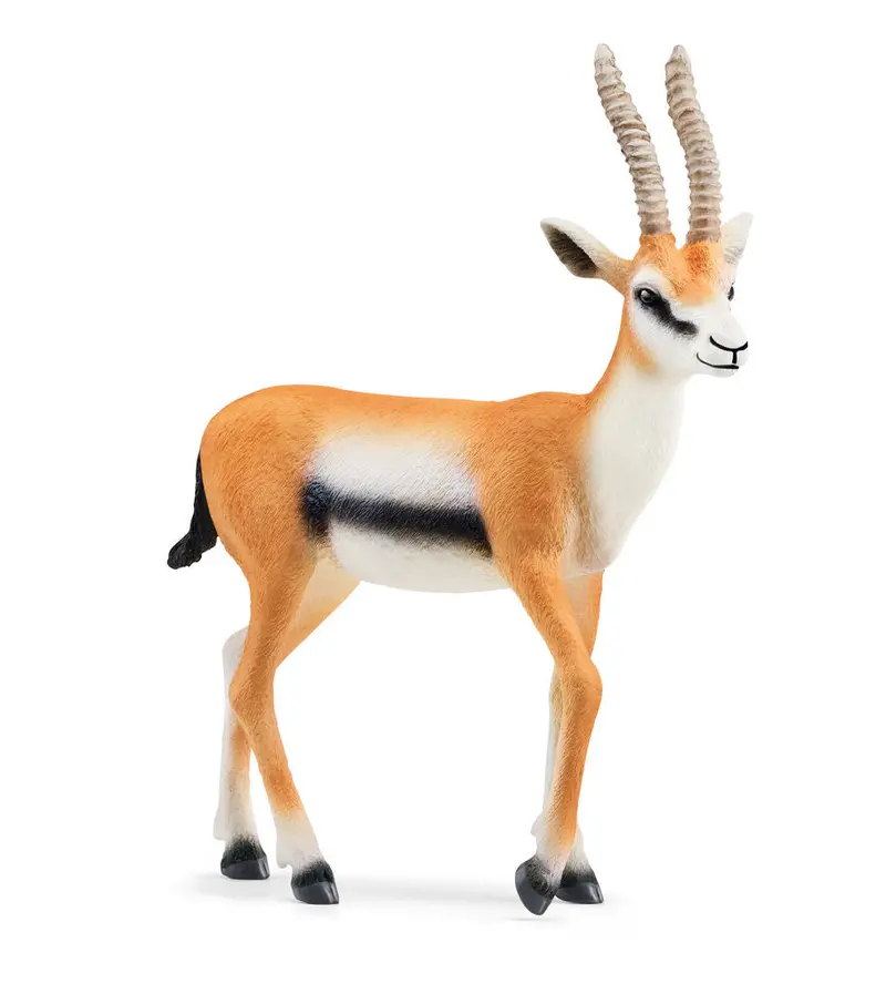 Thomson’s Gazelle Wildlife Model #14861S