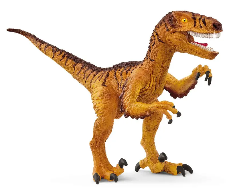 Velociraptor Dinosaur Replica #15045