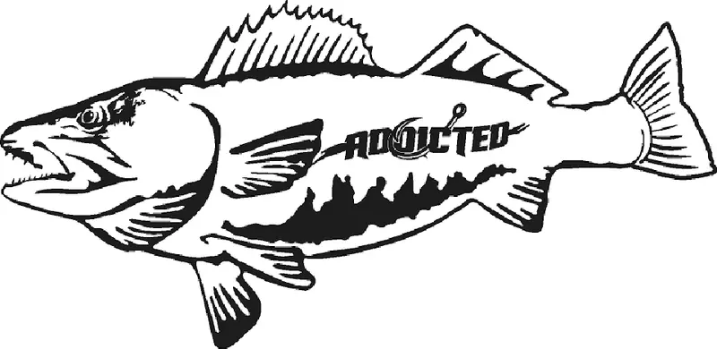 Walleye Fish Decal – Black
