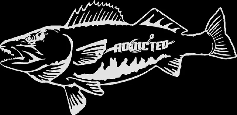 Walleye Fish Decal – White