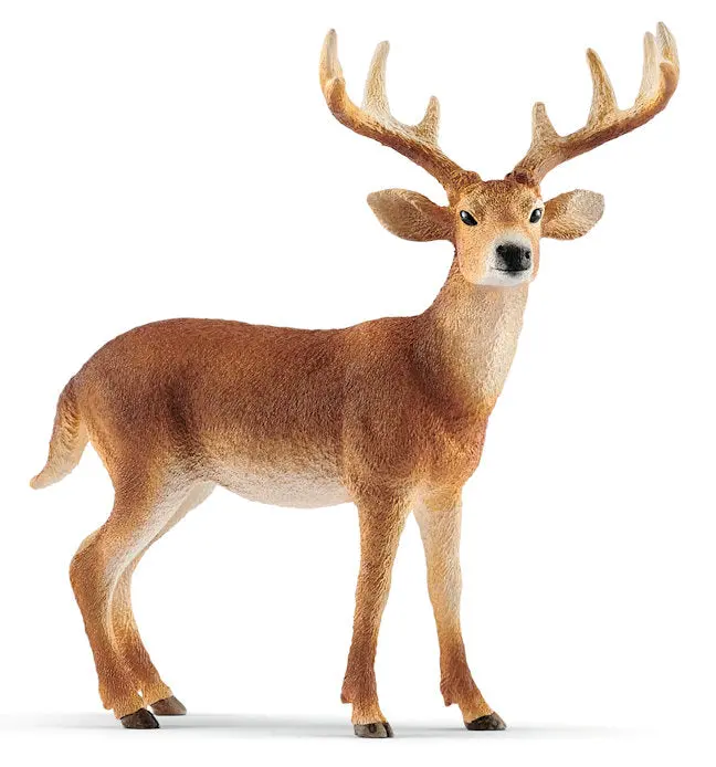 White-Tailed Buck Deer Model #14818